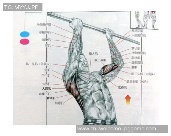 米体：DV9左内收肌肌肉肌腱衔接处重度损害，估计缺阵至少3个月